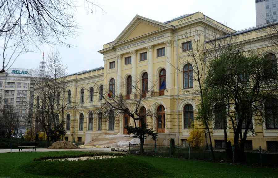 Școala de Vară la Antipa 2024