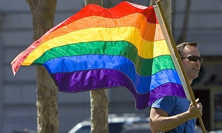 SUA vrea concediu de maternitate pentru homosexuali