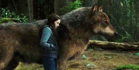 În „Eclipsa”, vampirii se întorc