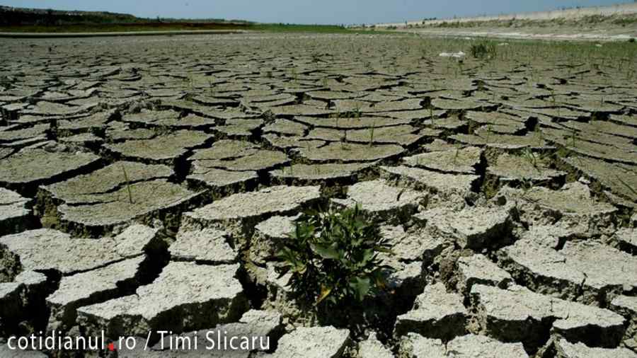 Temperaturile de peste 50 de grade vor deveni normale în următorii ani