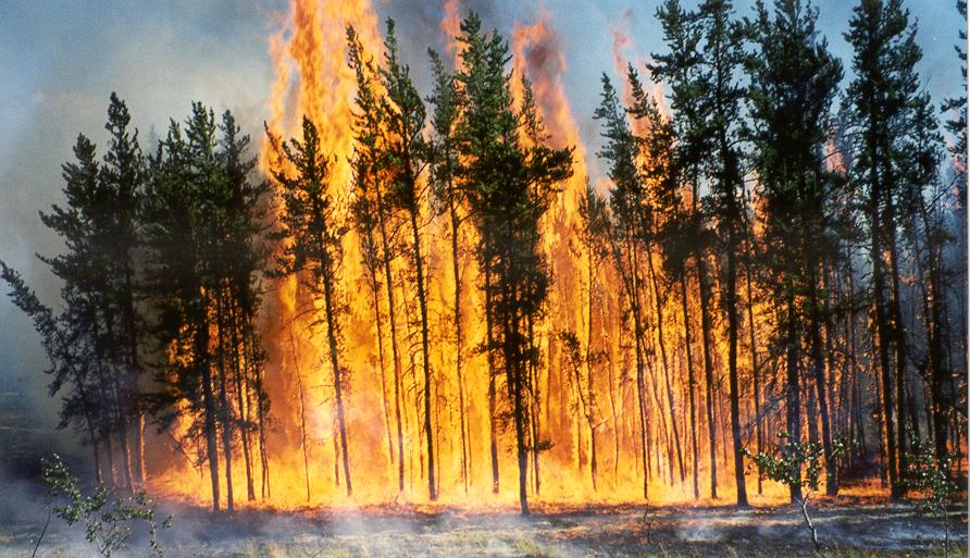 Incendiile din Rusia, stinse pe jumătate