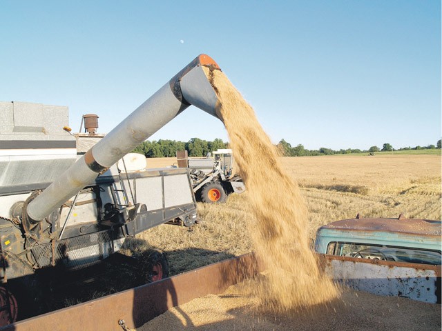 Fermierii se mută în stradă, ajunge cu discriminarea. ”Suntem într-o țară normală?!”