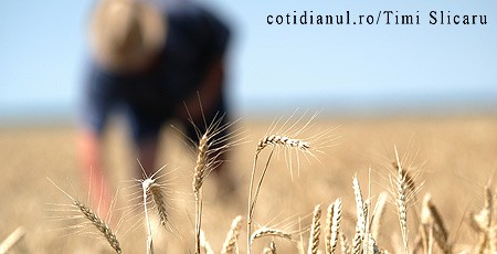 Ministerul Agriculturii a alocat 220 de milioane de euro pentru garanţii