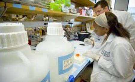 Americanii au creat în laborator primul ficat artificial