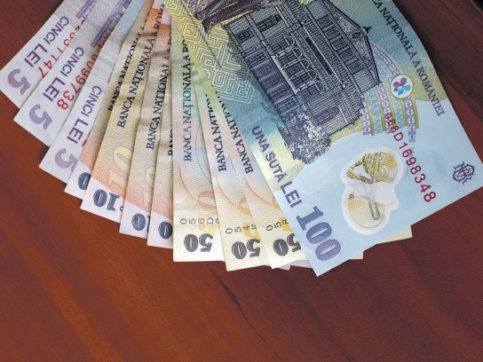 Lovitură de 58.000 de lei, la o fermă din Timiş