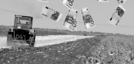 Fermierii români primesc în 2011 subvenții pentru culturile ecologice de 400 euro/hectar