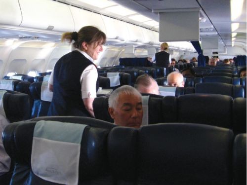 Steward-poetul din nori cu blog