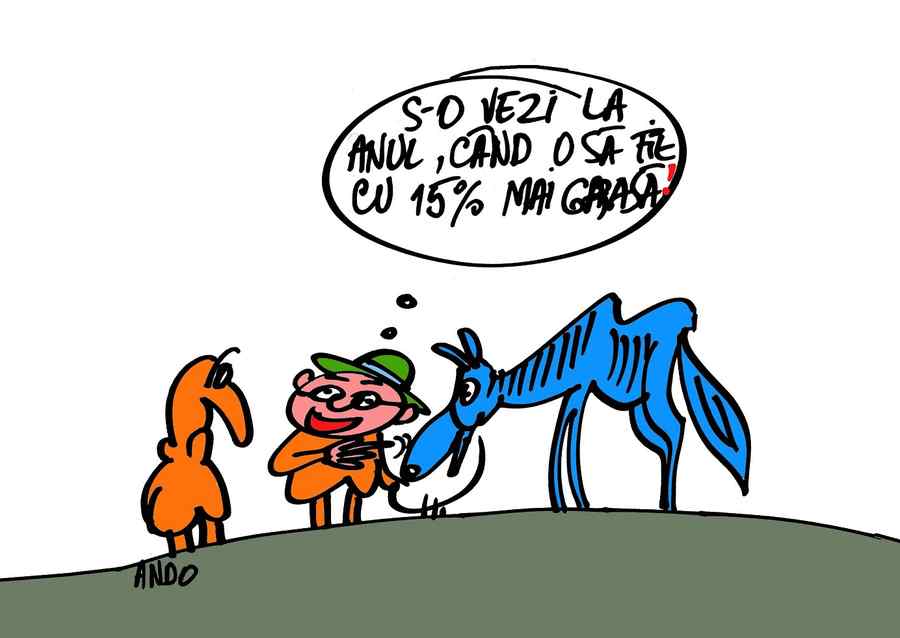 Mârțoaga bugetară