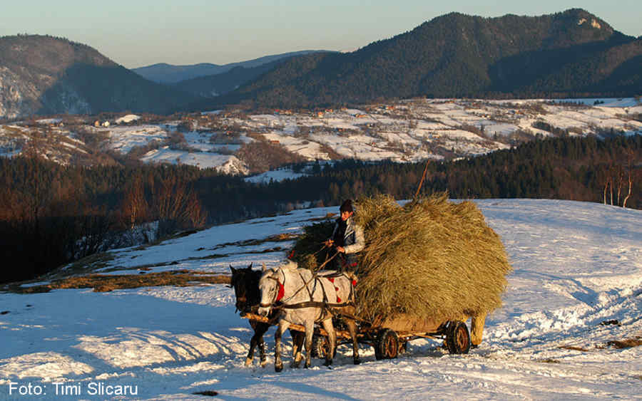 Turism rural, ecologic şi cultural în comuna Moeciu