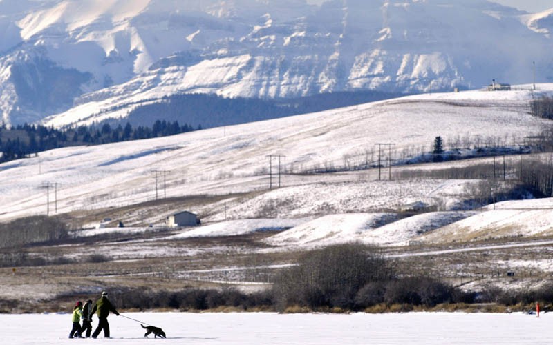 (VIDEO) Operaţiune spectaculoasă de salvare a unui câine