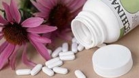 Studiu: Echinaceea nu ajută la combaterea răcelii