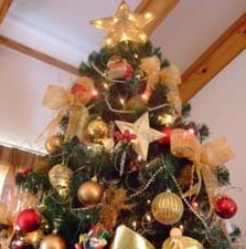 Săracul președinte bogat!