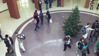 Incident intr-un mall, un tanar distruge un brad de Craciun