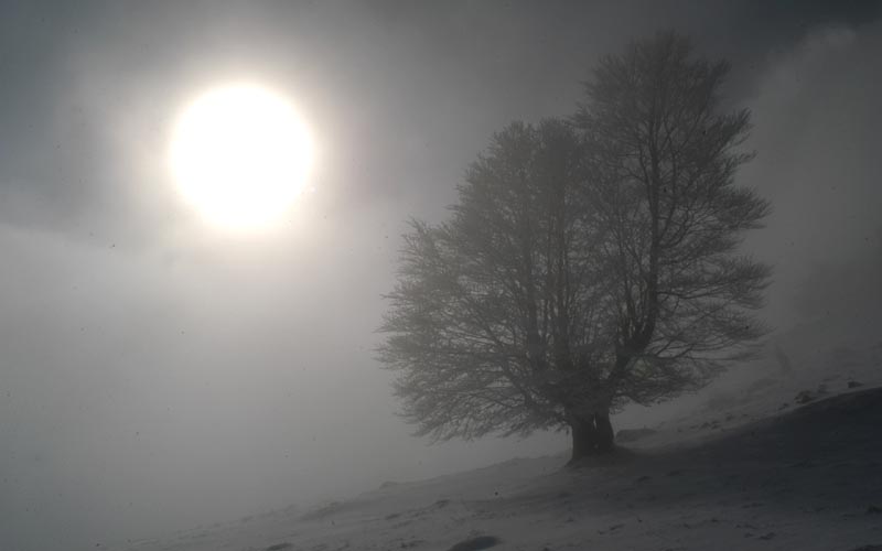 După un Crăciun primăvăratic, frig de îngheaţă pietrele în toată ţara