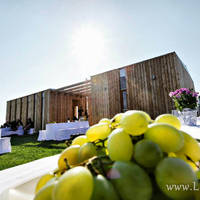 AMB Wine, investiții de 3 milioane de euro în proiectul vinurilor Liliac