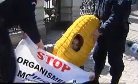 Protestatari, luaţi din nou pe sus de jandarmi: „Băgaţi ştiuleţii de porumb în dubă!”