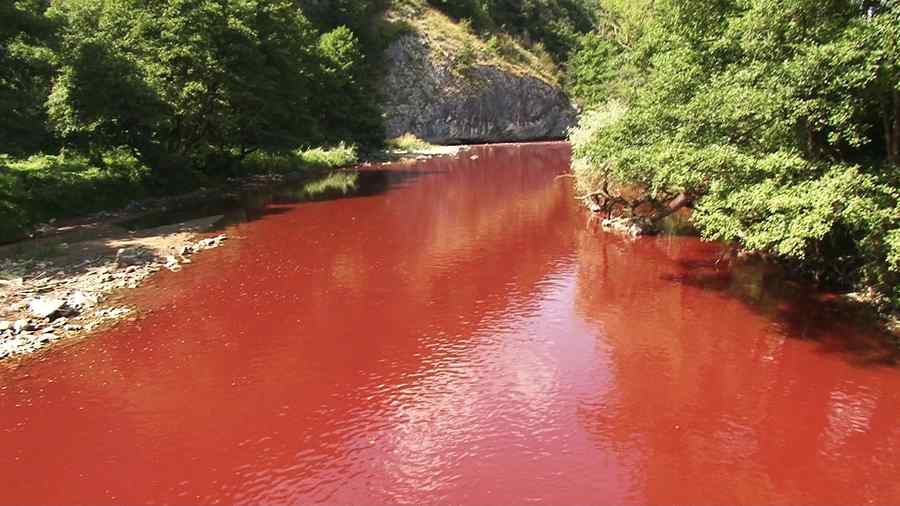 Apă sângerie pe Crişul Repede. Ministerul Mediului tace chitic
