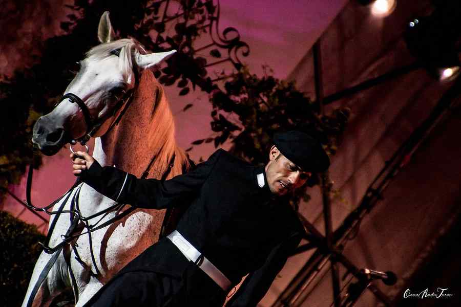 Promenada Operei, muzică şi dans în aer liber