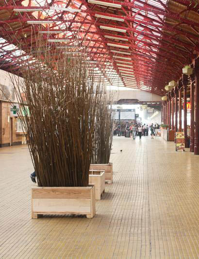 Cuiburile sonore ale lui Laurent Weiss