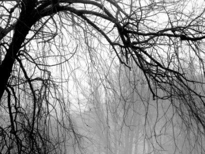 Cum va fi vremea în următoarea perioadă