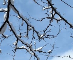 Cum va fi vremea sâmbătă şi duminică