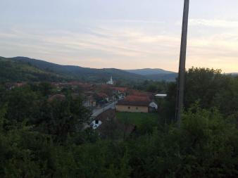 Jaful din pădurea Nadăşului a fost stopat