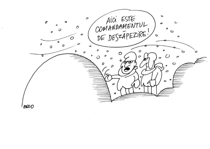Organizare