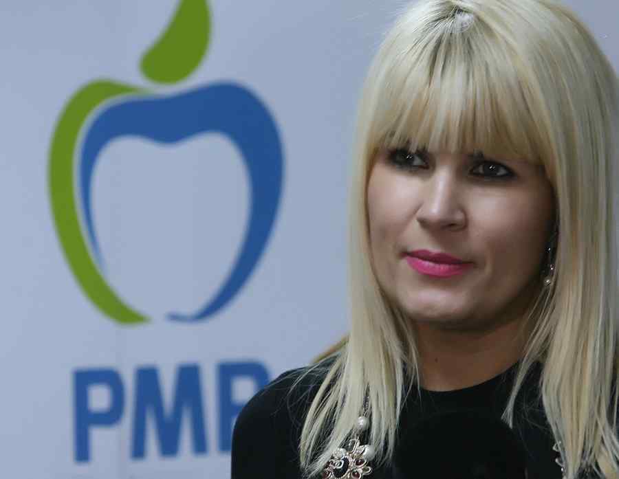 Udrea, despre Corpul de control al premierului