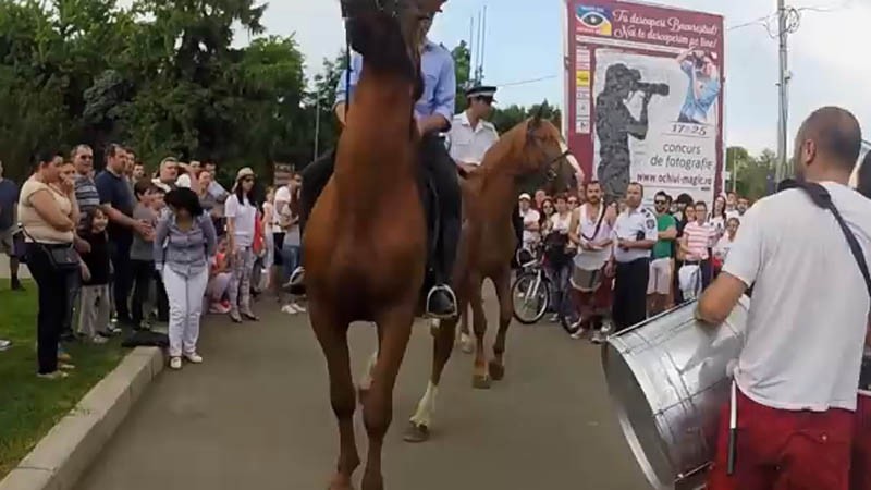 Poliția Călare a intervenit violent pentru a întrerupe recitalul unor percuționiști în parcul Herăstrău