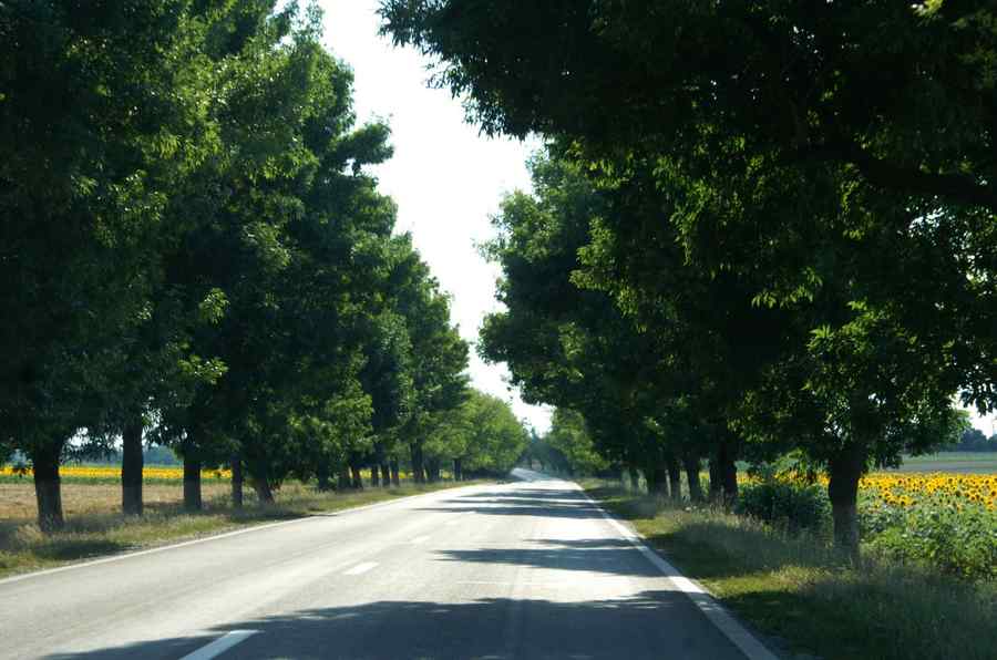 180.000 de şoferi trebuie să se aștepte la ce e mai rău de la CNADNR