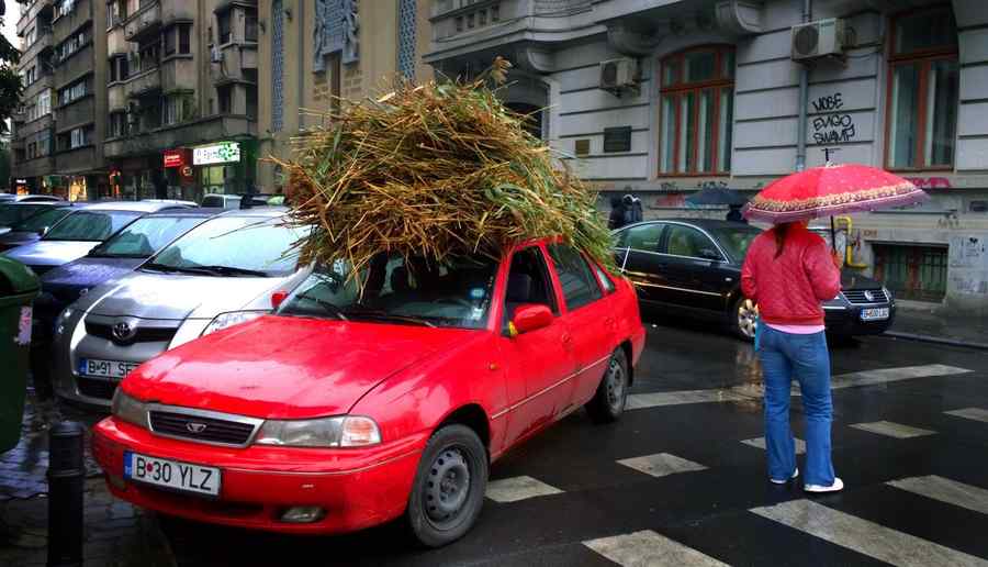 Noi fițe ecologice în centrul Bucureștiului. Prelata din paie.