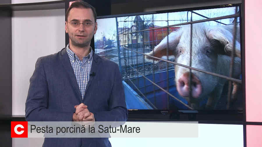 Jurnalul 7:30, 24 ianuarie 2018