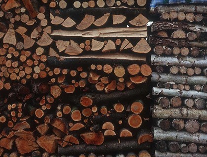 S-a ars mai mult lemn decât producția legală