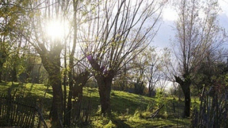 2023 – cel mai cald an din istorie pentru România