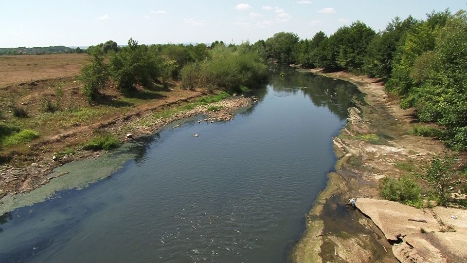Poluare fără precedent în apele din jurul municipiului Baia Mare