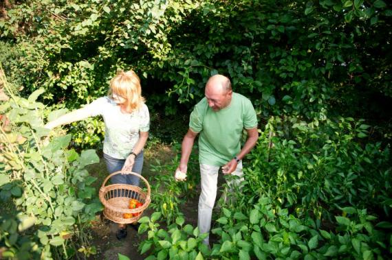 Băsescu a postat pe Facebook „dovada” că este „un mic horticultor”