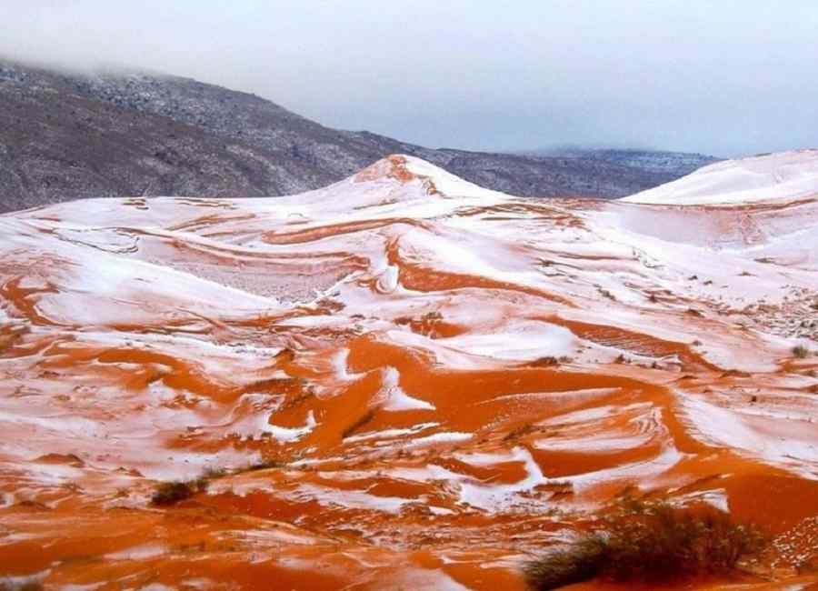 A nins în deşertul Sahara