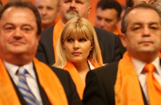 PDL are în Parlament un proiect identic cu cel al USL privind uninominalul pur