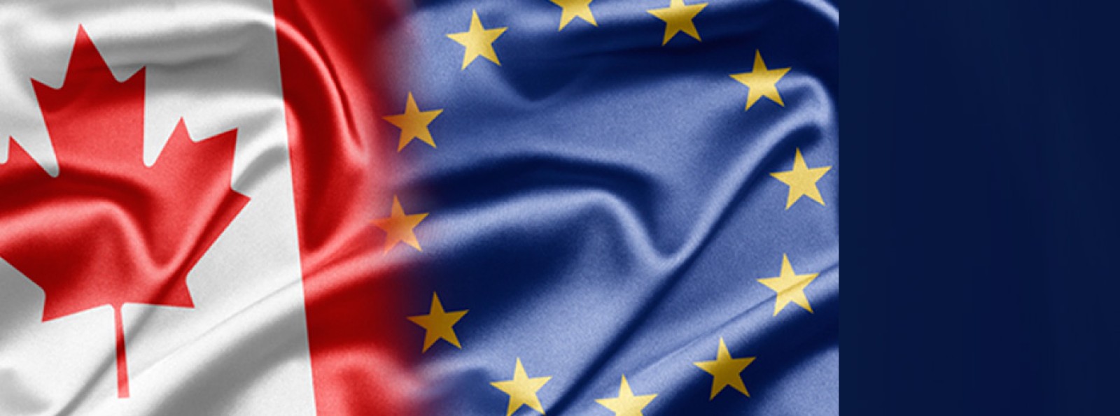 Guvernul, precizări în legătură cu vizele pentru Canada