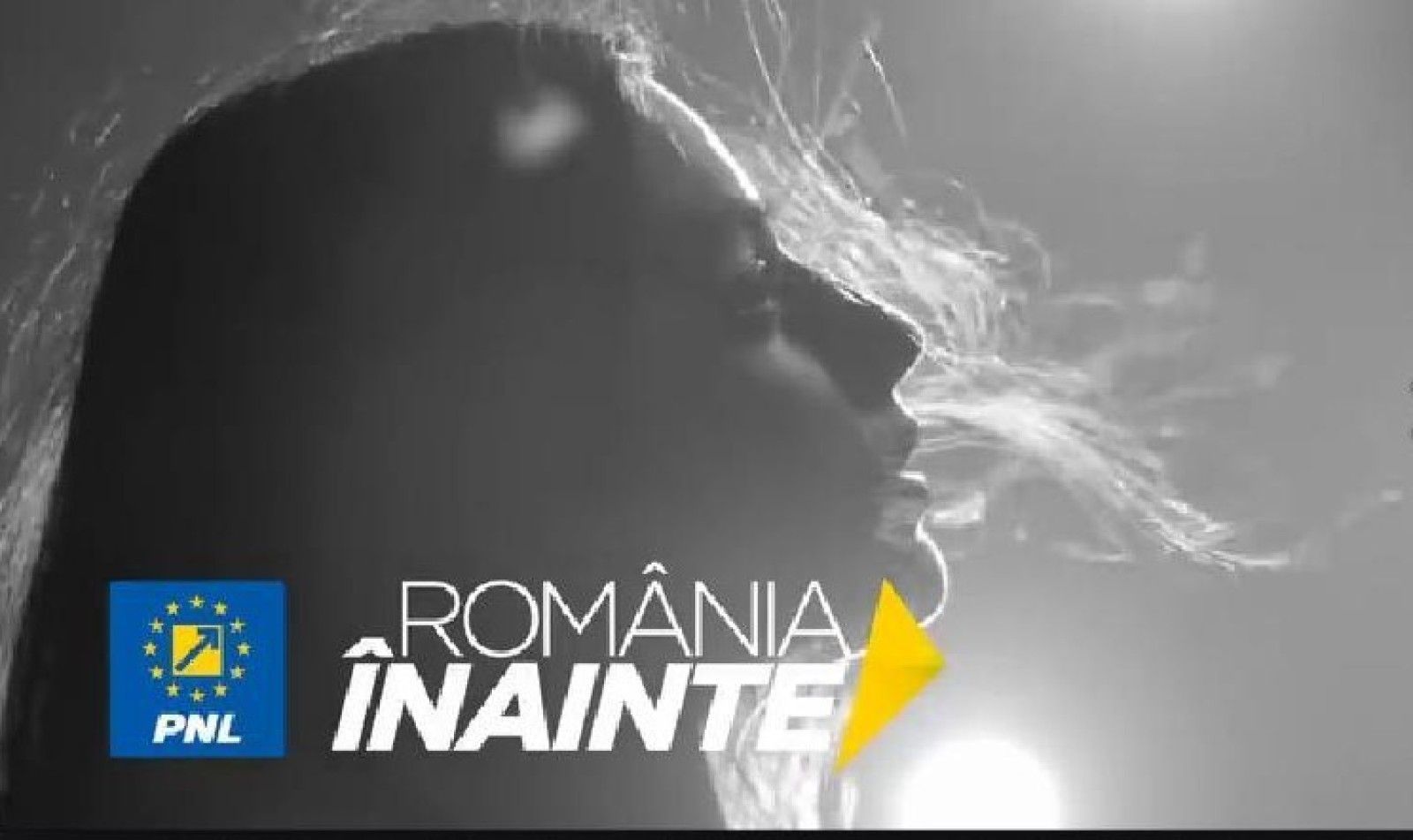 Cât de rea, hoață și coruptă este România în viziunea PNL