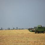 Uniunea Europeană, piețe agricole, raport de vară