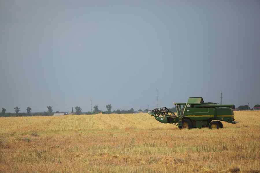 Rating „excepțional” pentru recolta agricolă de anul acesta