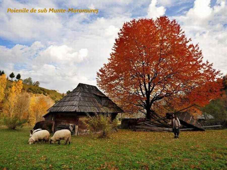 Toamnă românească