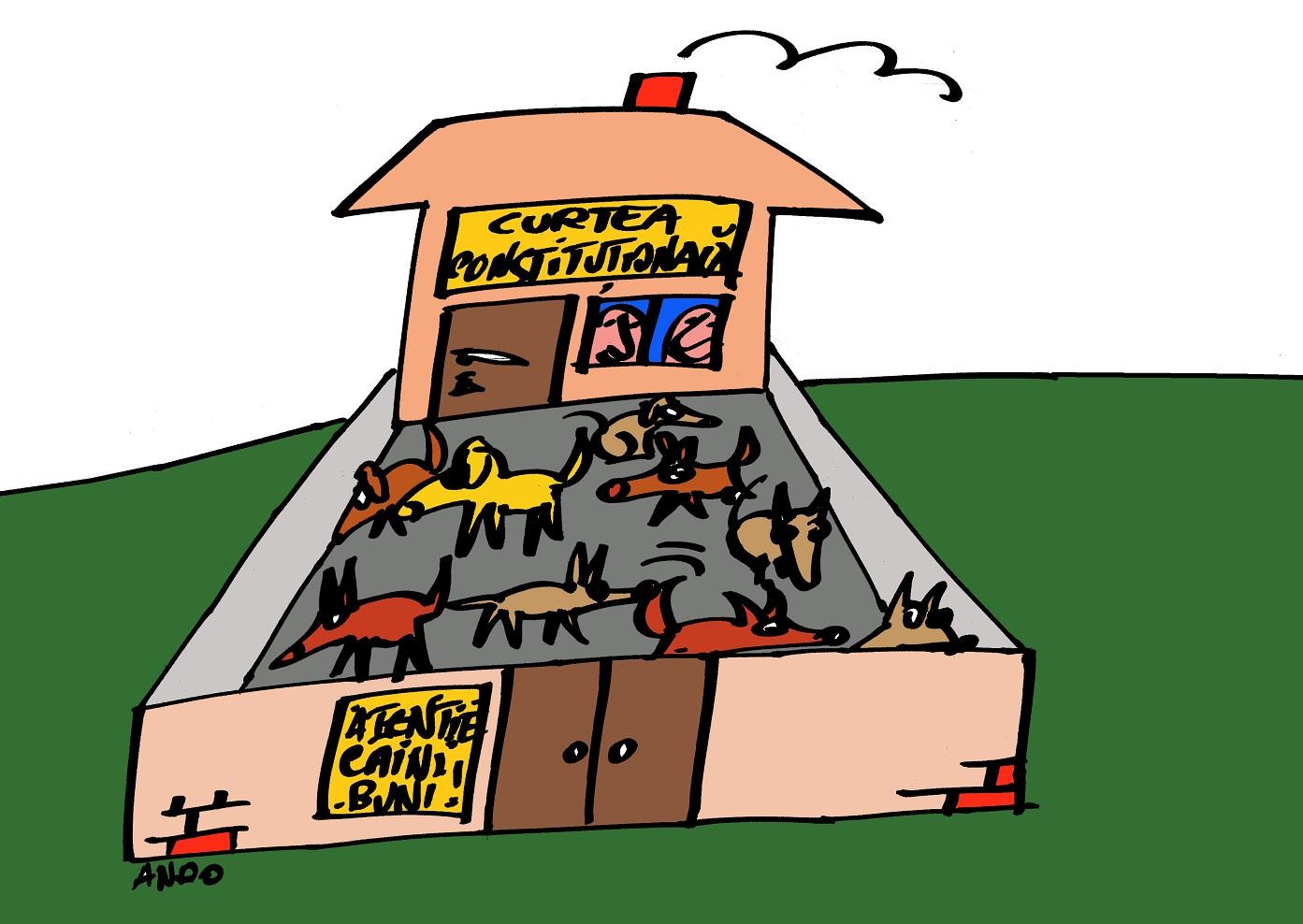 Animale de curte