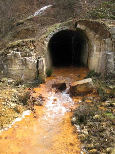 Ponta, despre activiştii de mediu: „Nu i-a mai durut nici în cot”