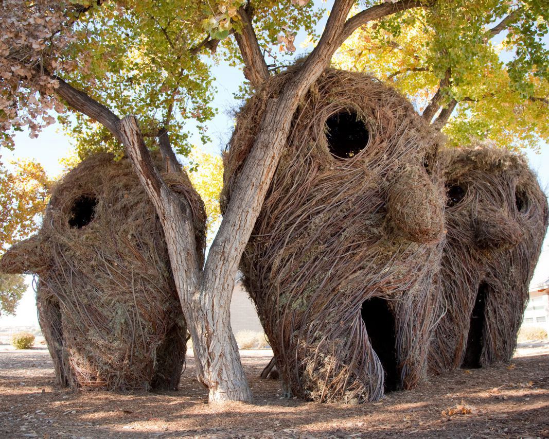 Din Argentina în Franţa, din SUA în Japonia, artiştii redescoperă lumea