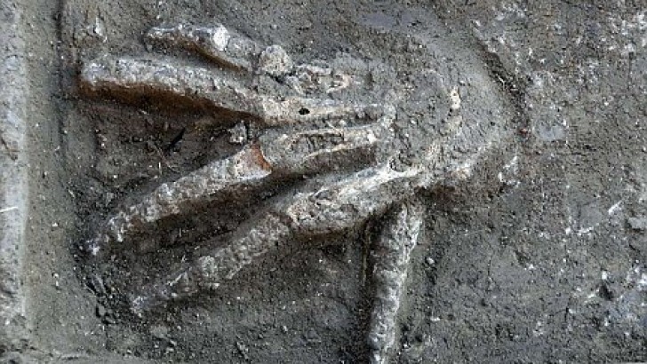 Descoperirea care i-a îngrozit pe arheologii egipteni