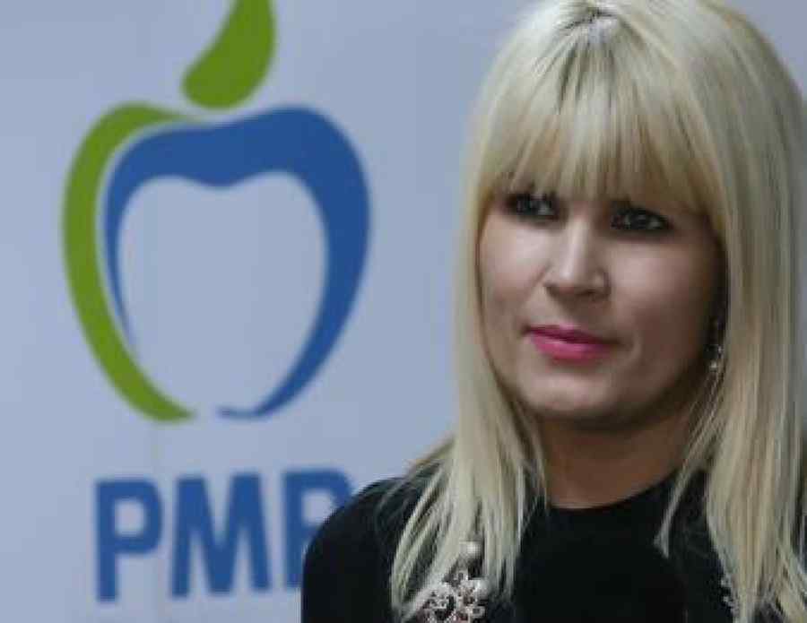 Udrea, despre candidatura sa la funcția de președinte al PMP
