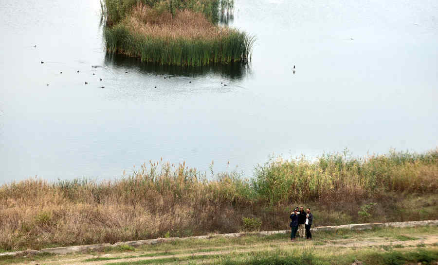 Solicitarea urgentă care a fost adresată Ministerului Mediului