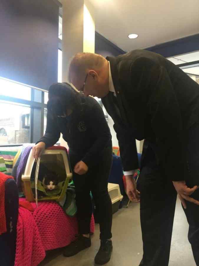 Cu ce se mai ocupă ambasadorul Dan Mihalache (Foto)